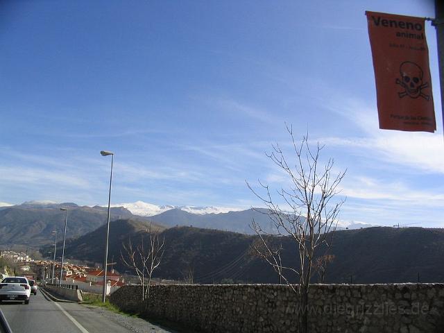 MALAGA5050.JPG