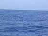 IMG_1171.JPG